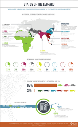 Leopard Infographic Vertical