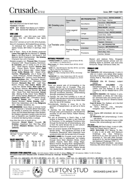 Crusade(USA) Brown, 2009 • Height 16Hh