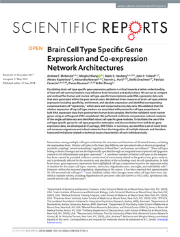 Brain Cell Type Specific Gene Expression and Co-Expression