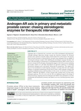 Androgen-AR Axis in Primary and Metastatic Prostate Cancer: Chasing Steroidogenic Enzymes for Therapeutic Intervention