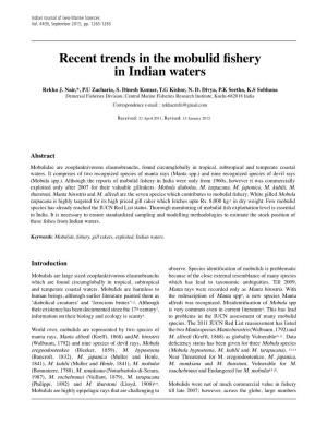 Recent Trends in the Mobulid Fishery in Indian Waters