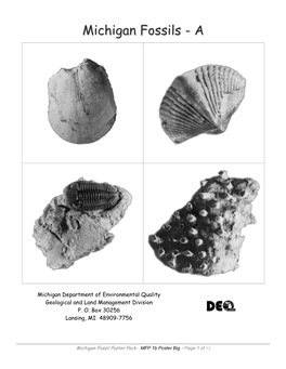 Michigan Fossils