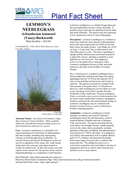Plant Fact Sheet for Lemmon's Needlegrass (Achnatherum Lemmonii)