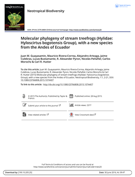 (Hylidae: Hyloscirtus Bogotensis Group), with a New Species from the Andes of Ecuador