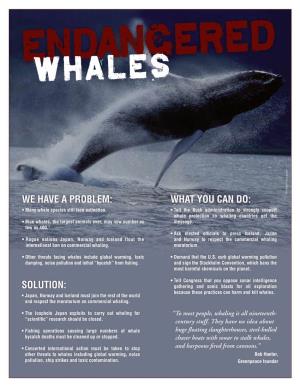SOLUTION: Gathering and Sonic Blasts for Oil Exploration Because These Practices Can Harm and Kill Whales