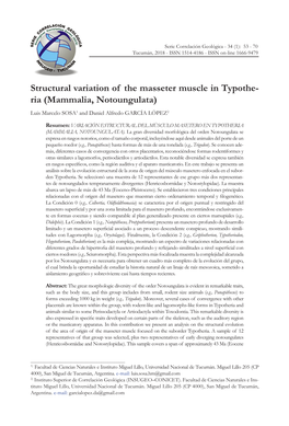 Structural Variation of the Masseter Muscle in Typothe- Ria (Mammalia, Notoungulata) Luis Marcelo SOSA1 and Daniel Alfredo GARCÍA LÓPEZ2