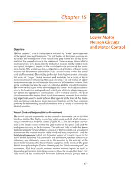 Lower Motor Neuron Circuits and Motor Control 373