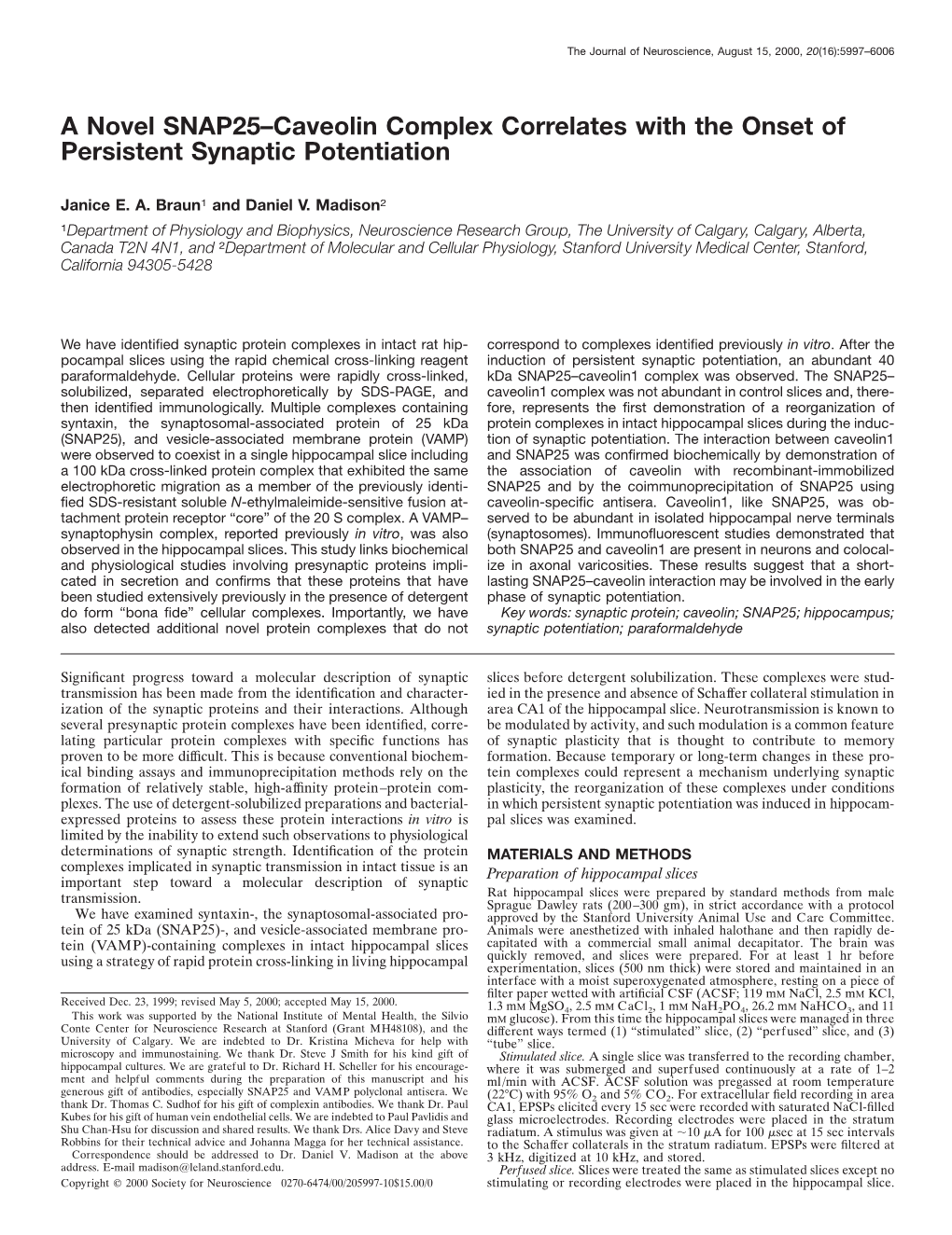 A Novel SNAP25–Caveolin Complex Correlates with the Onset of Persistent Synaptic Potentiation