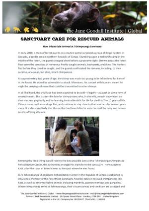 Sanctuary Care for Rescued Animals