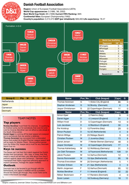 Danish Football Association