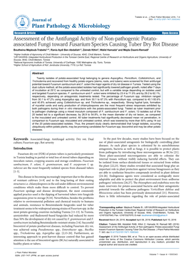 Assessment of the Antifungal Activity of Non