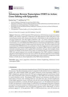 Telomerase Reverse Transcriptase (TERT) in Action: Cross-Talking with Epigenetics