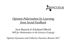 Opinion Polarization by Learning from Social Feedback