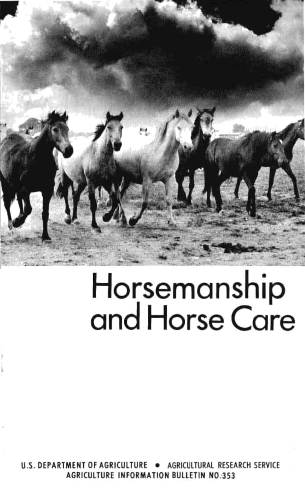 Horsemanship and Horse Care R I
