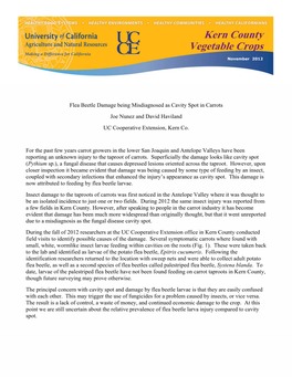 Flea Beetle Damage Being Misdiagnosed As Cavity Spot in Carrots Joe Nunez and David Haviland UC Cooperative Extension, Kern Co