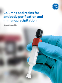 Columns and Resins for Antibody Purification and Immunoprecipitation
