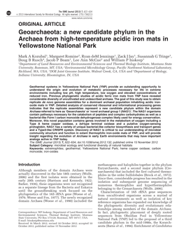 A New Candidate Phylum in the Archaea from High-Temperature Acidic Iron Mats in Yellowstone National Park