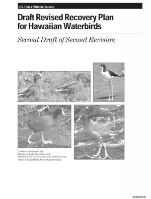 Draft Revised Recovery Plan for Hawaiian Waterbirds Second Draft of Second Revision
