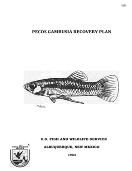 Pecos Gambusia Recovery Plan