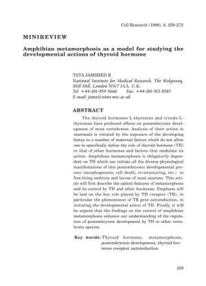 MINIREVIEW Amphibian Metamorphosis As a Model For