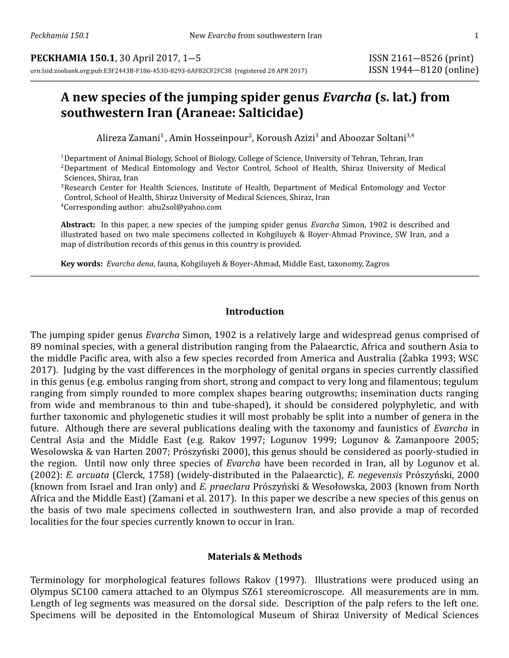 A New Species of the Jumping Spider Genus Evarcha (S