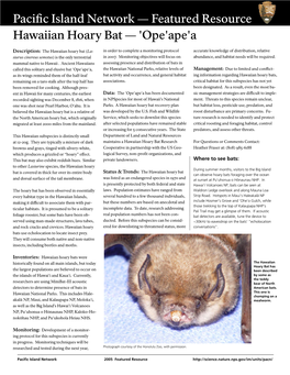 Featured Resource Hawaiian Hoary Bat — 'Ope'ape'a