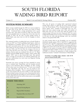 South Florida Wading Bird Report 2007