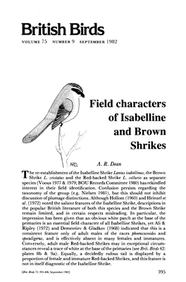 Field Characters of Isabelline and Brown Shrikes