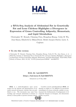 Y RNA-Seq Analysis of Abdominal Fat in Genetically Fat And