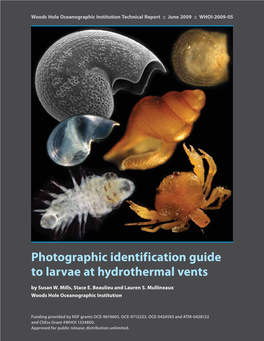 Photographic Identification Guide to Larvae at Hydrothermal Vents by Susan W