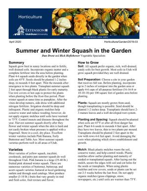 Summer and Winter Squash in the Garden Dan Drost and Rick Heflebower Vegetable Specialists