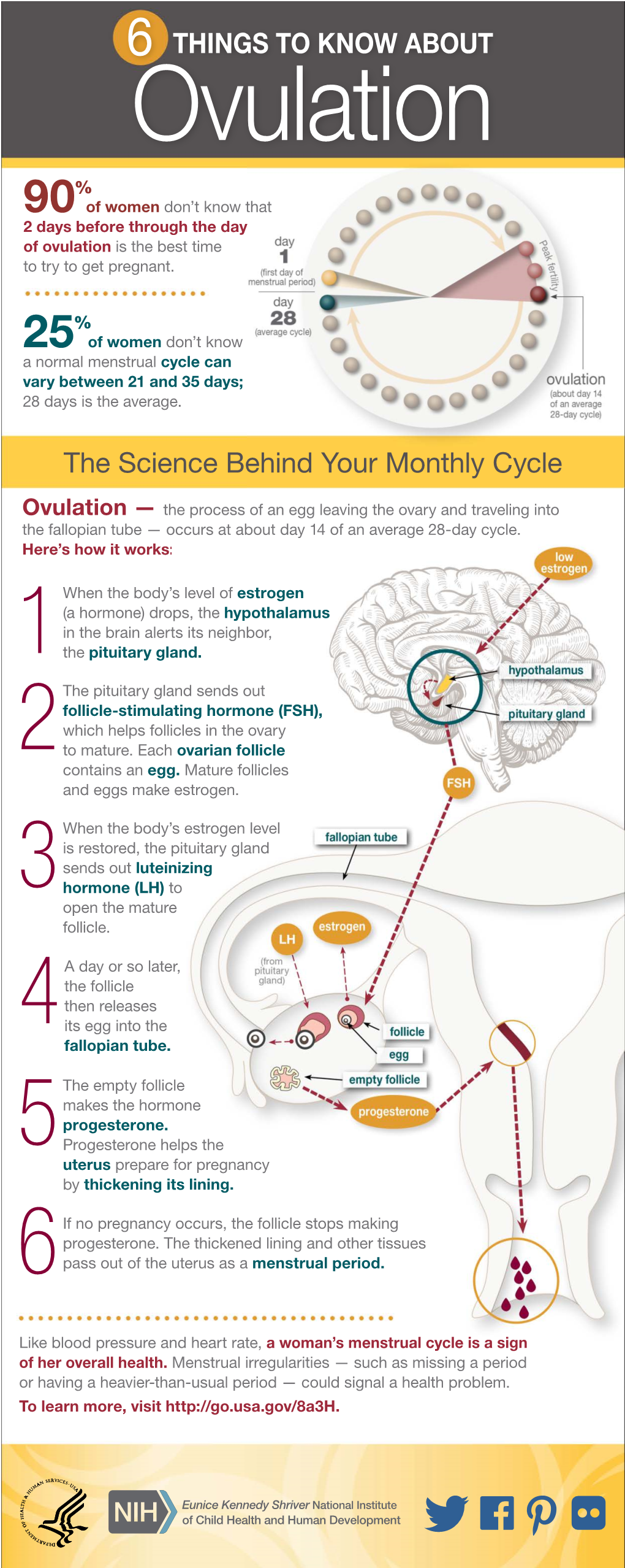 6 THINGS to KNOW ABOUT Ovulation % 90 of Women Don’T Know That 2 Days Before Through the Day of Ovulation Is the Best Time to Try to Get Pregnant