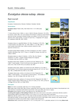 Eucalyptus Oleosa Subsp. Oleosa Red Morrell Classification Eucalyptus | Symphyomyrtus | Bisectae | Destitutae | Subulatae | Spirales Nomenclature