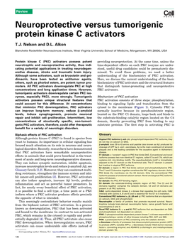 Neuroprotective Versus Tumorigenic Protein Kinase C Activators