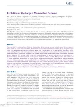 Evolution of the Largest Mammalian Genome