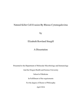 Natural Killer Cell Evasion by Rhesus Cytomegalovirus by Elizabeth