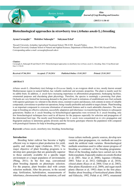 Biotechnological Approaches in Strawberry Tree (Arbutus Unedo L.) Breedi̇ Ng