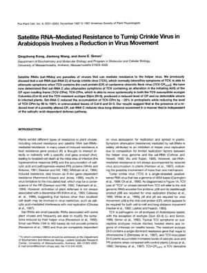 Satellite RNA-Mediated Resistance to Turnip Crinkle Virus in Arabidopsis Lnvolves a Reduction in Virus Movement