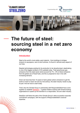 Sourcing Steel in a Net Zero Economy
