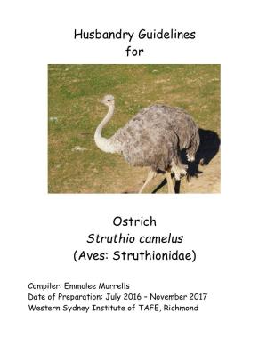 Ostrich (Struthio Camelus): a Review