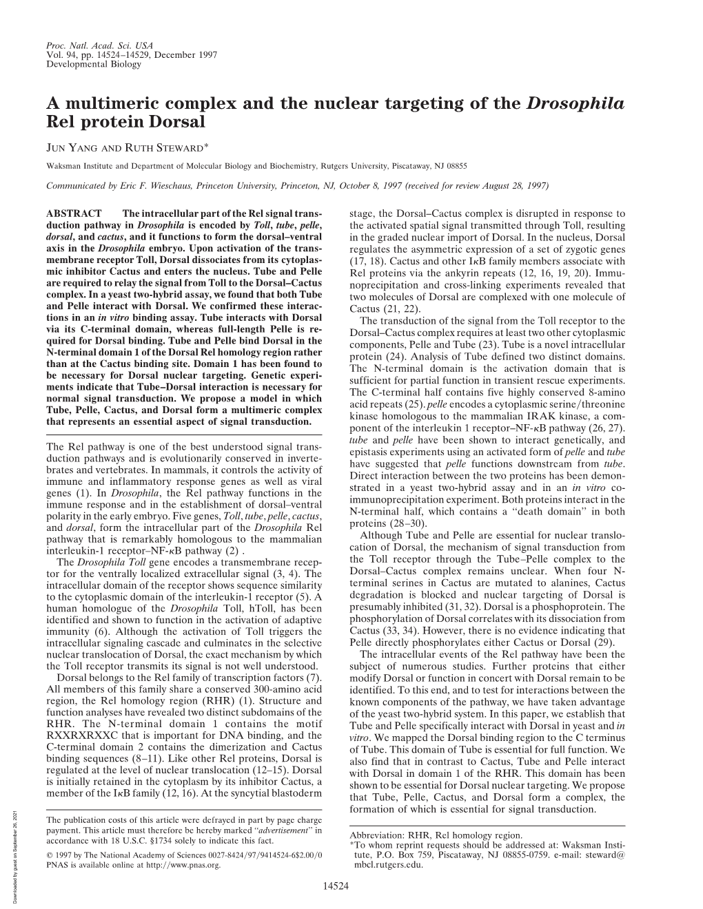 A Multimeric Complex and the Nuclear Targeting of the Drosophila Rel Protein Dorsal