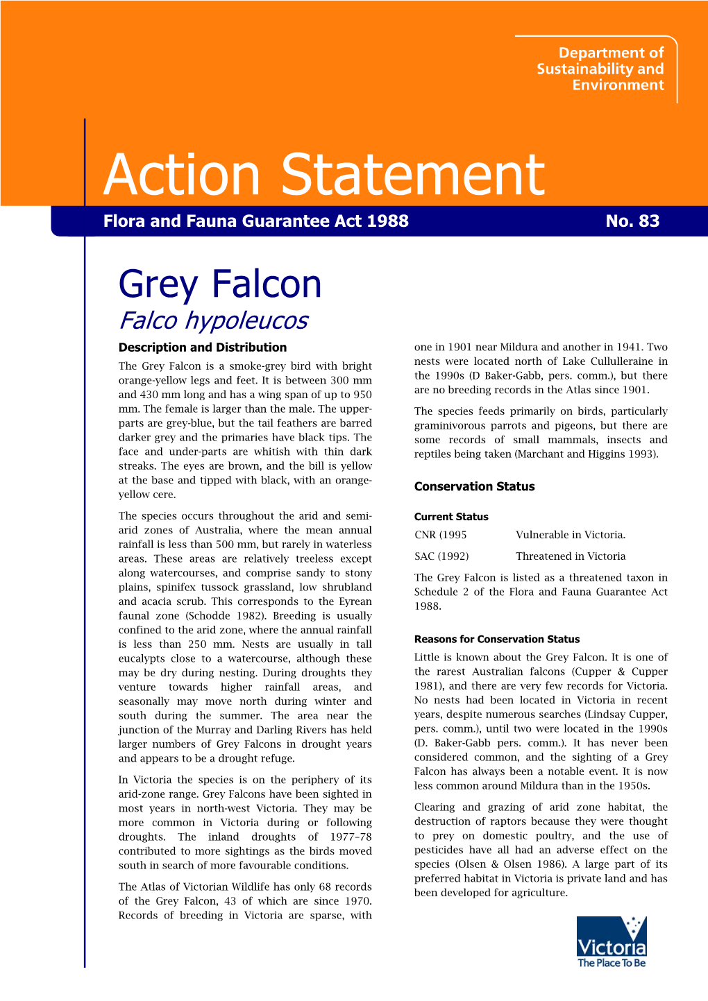 Grey Falcon Falco Hypoleucos Description and Distribution One in 1901 Near Mildura and Another in 1941