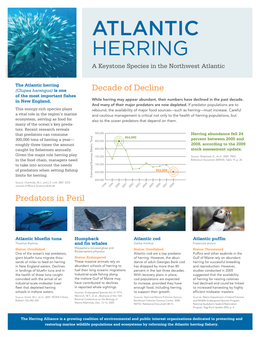 ATLANTIC HERRING a Keystone Species in the Northwest Atlantic COLIN ROBSON