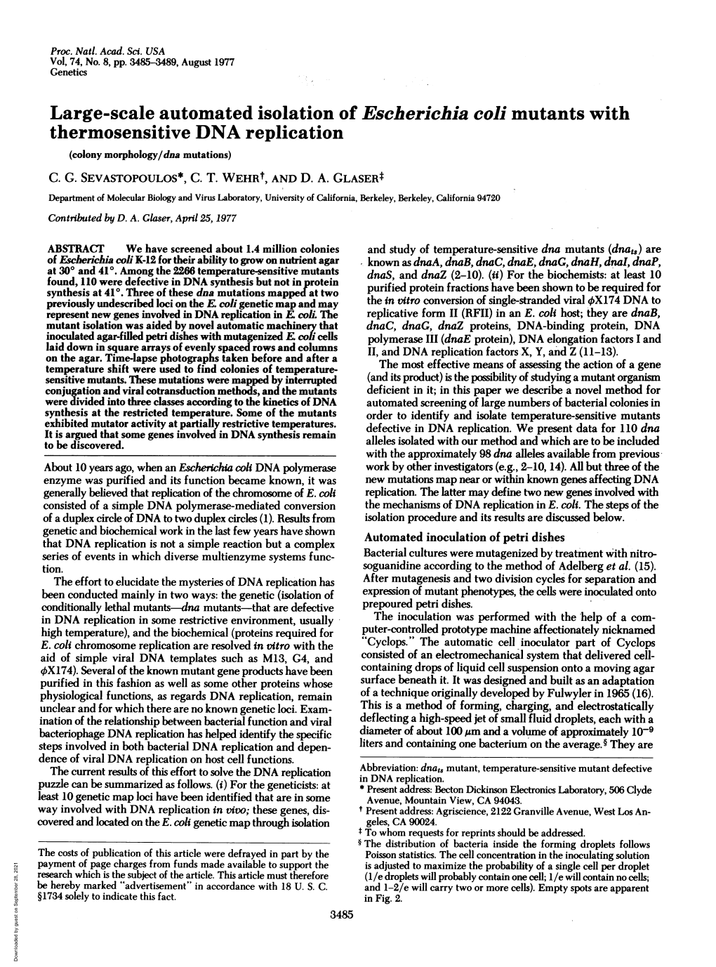 Thermosensitive DNA Replication (Colony Morphology/Dna Mutations) C