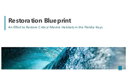 Restoration Blueprint FKNMS Regulatory and Marine Zone