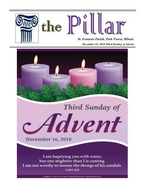 St. Irenaeus Parish, Park Forest, Illinois December 16, 2018 Third Sunday of Advent Advent/Christmas 2018