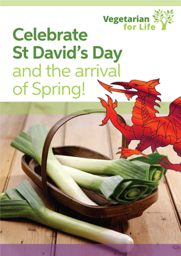 Download Celebrate St David's