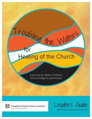 Troubling the Waters for Healing of the Church