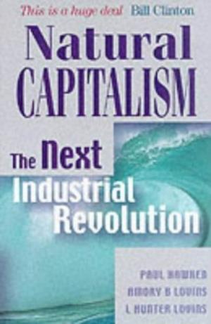 Natural Capitalism – the Next Industrial Revolution