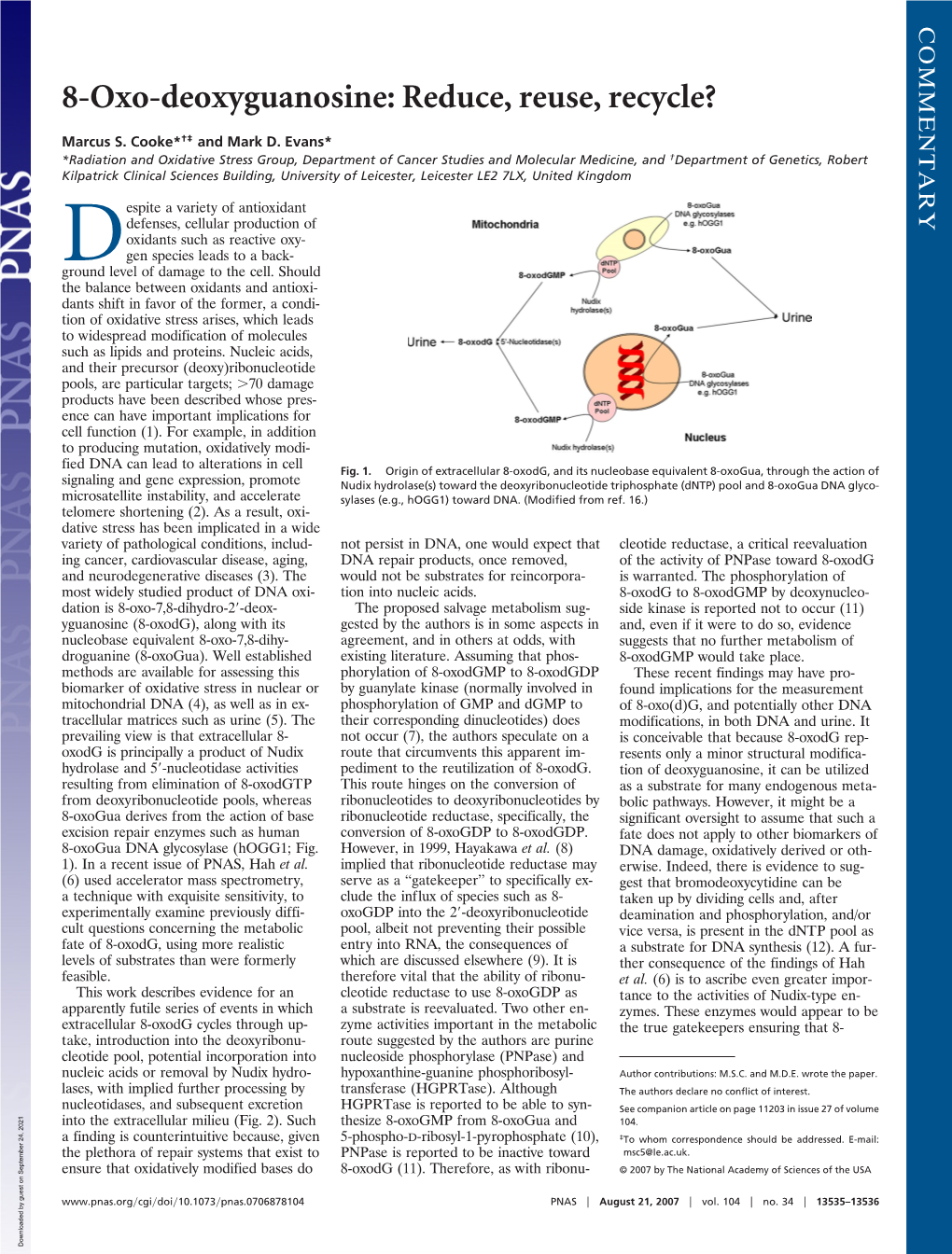 8-Oxo-Deoxyguanosine: Reduce, Reuse, Recycle?